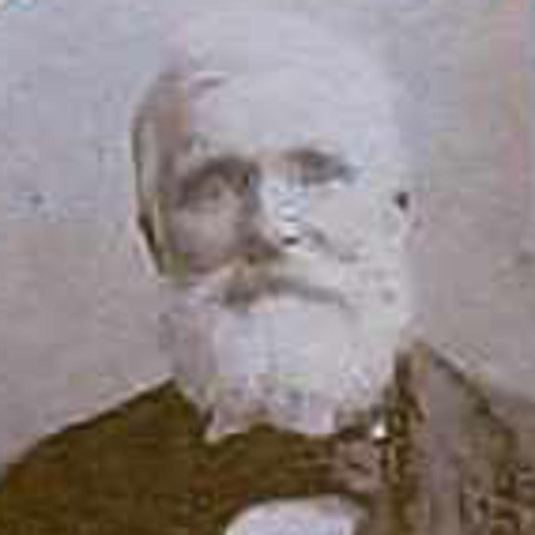 Timothy Adams (1834 - 1923) Profile